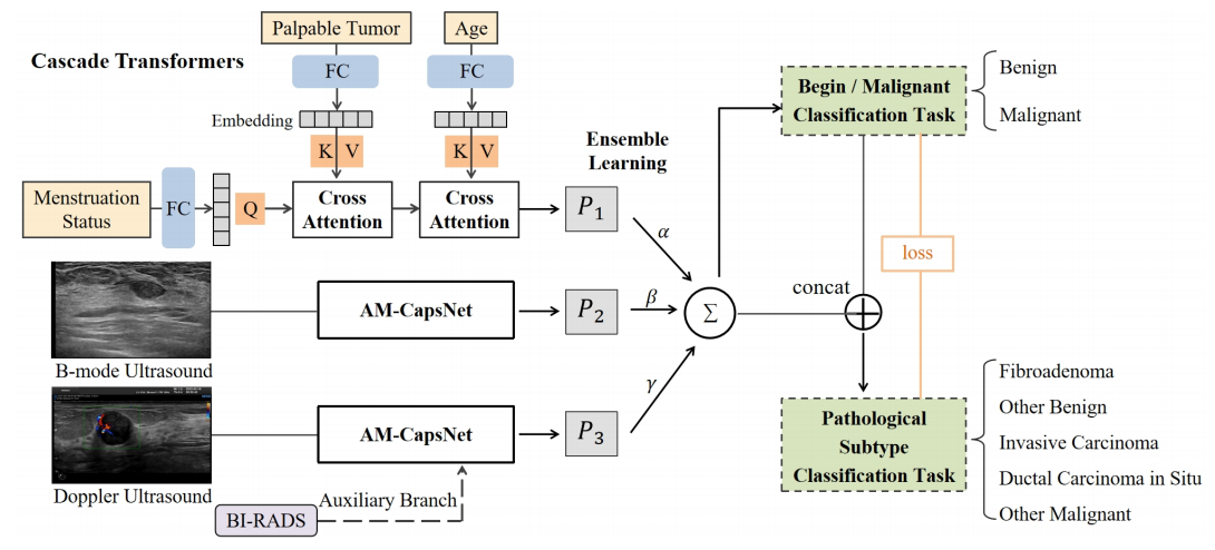 3MT-Net:A Multi-modal Multi-task Model for Breast Cancer and Pathological Subtype Classification Based on a Multicenter Study
