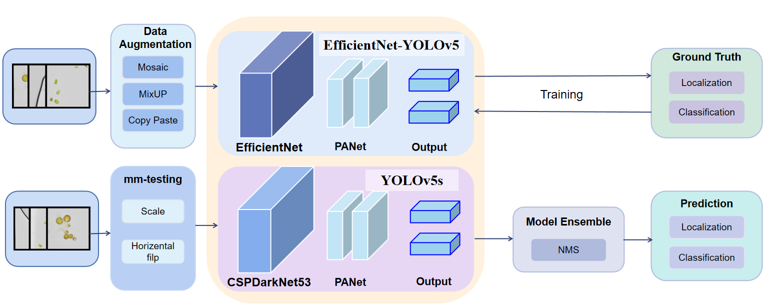 EfficientNet-YOLOv5: Improved YOLOv5 Based on EfficientNet Backbone for Object Detection on Marine Microalgae