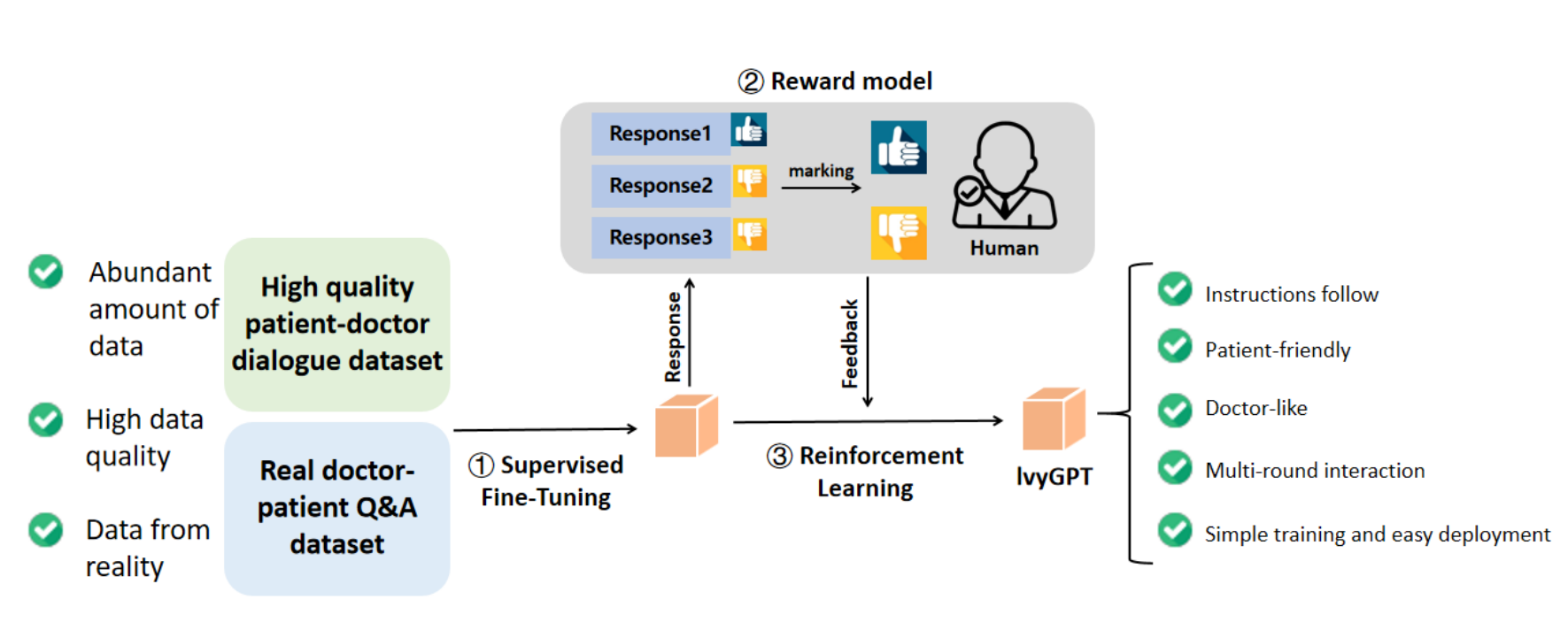 IvyGPT: Interactive Chinese Pathway Language Model in the Medical Domain