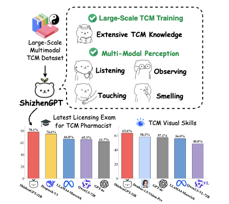 Towards Multimodal LLMs for Traditional Chinese Medicine