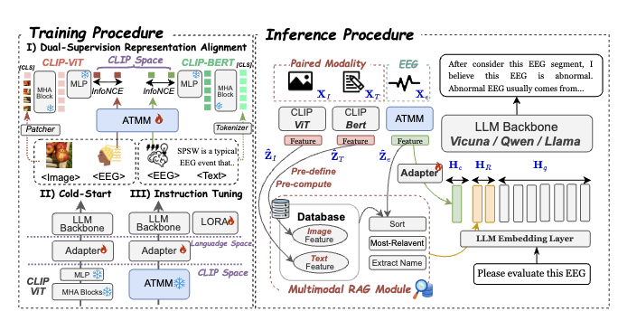 Towards a Conversational EEG Foundation Model Aligned to Textual and Visual Modalities